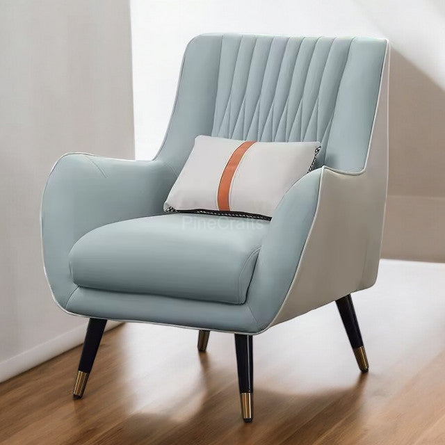 Contemporary Accent Chair for Living Room