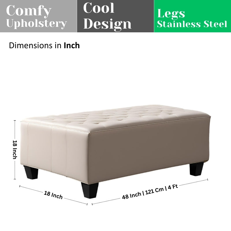 Modern Wooden Bench with Cushion