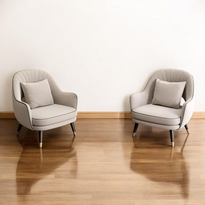 Modern Dining Chairs with Cushions