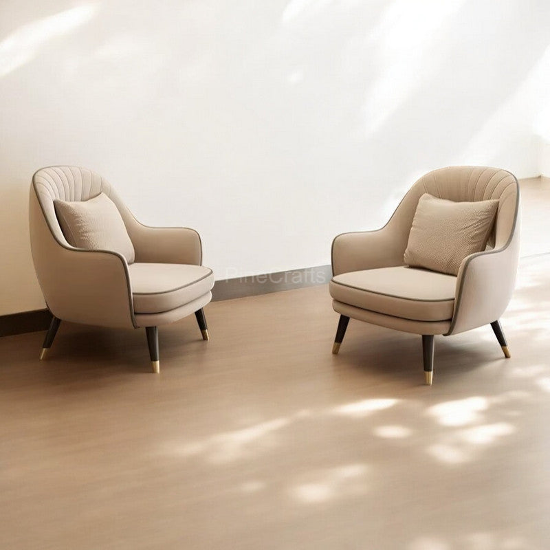 Modern Dining Chairs with Cushions