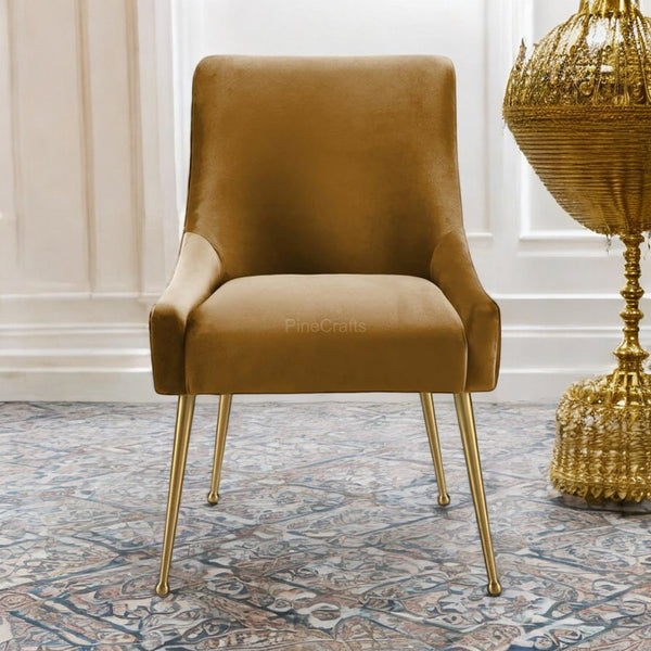Elegant Dining Chair - Living Room Chair - CRUZ INTERNATIONAL - Furniture Store