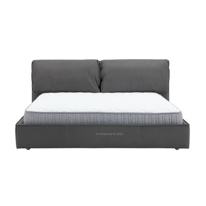 Urban Modern Upholstered Bed