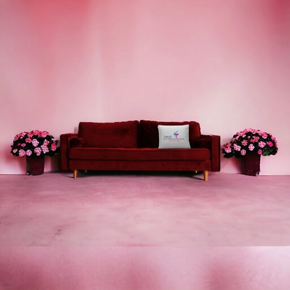 Italy Style Sofa Set