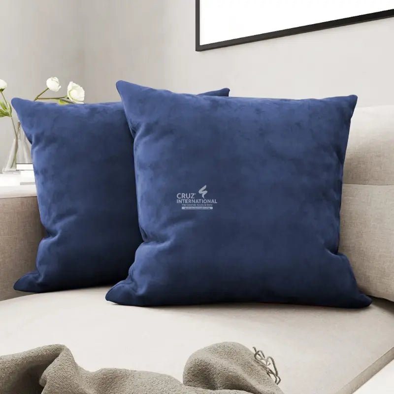 Dreamland Delight Cushion Covers & Pillows (Pack of 2) CRUZ INTERNATIONAL