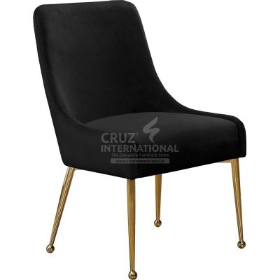 Modern Lareina Dinning Chair | Standard CRUZ INTERNATIONAL