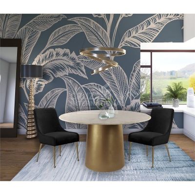 Modern Lareina Dinning Chair | Standard CRUZ INTERNATIONAL